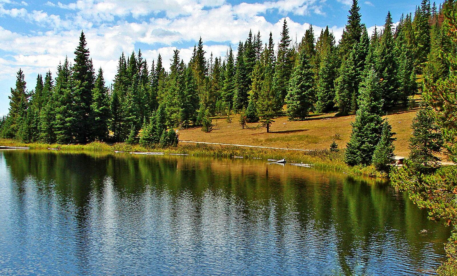 A serene lake reflects a lush evergreen forest, offering a peaceful scene for grief support and healing.